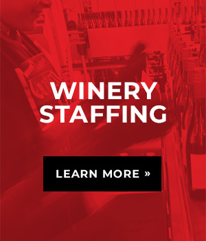 Winery Staffing